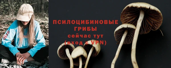 спайс Баксан