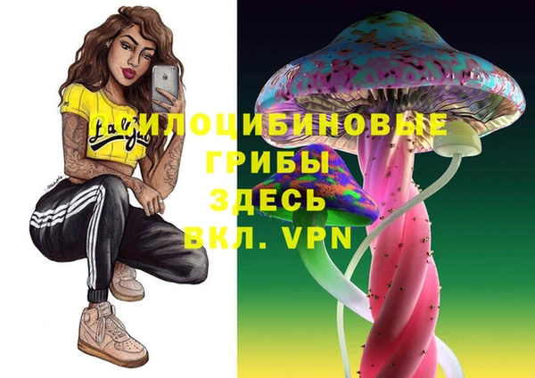 первитин Надым
