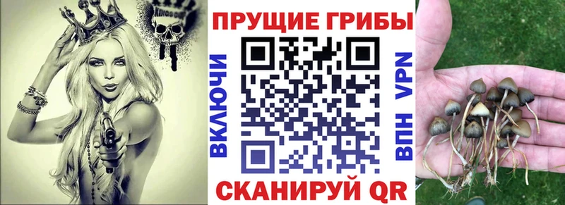 Галлюциногенные грибы MAGIC MUSHROOMS  MEGA ONION  Южно-Сахалинск 