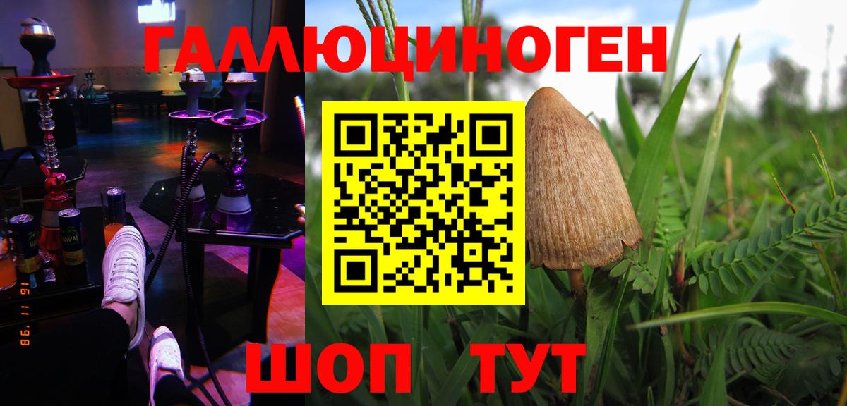 Псилоцибиновые грибы Cubensis Южно-Сахалинск